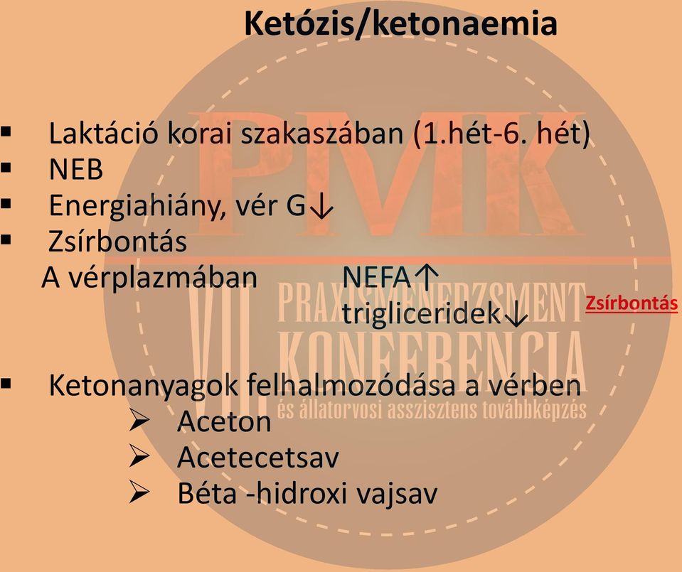 NEFA trigliceridek Ketonanyagok felhalmozódása a