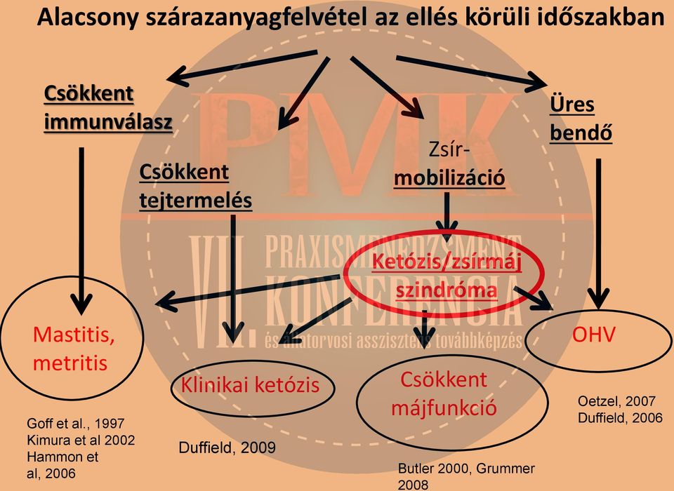 metritis Goff et al.