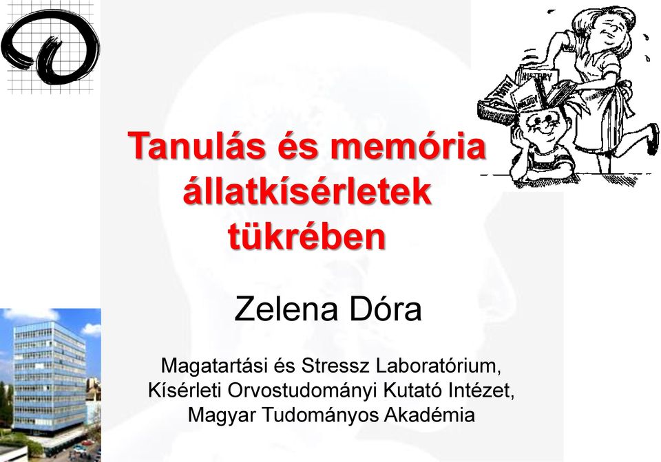 Stressz Laboratórium, Kísérleti