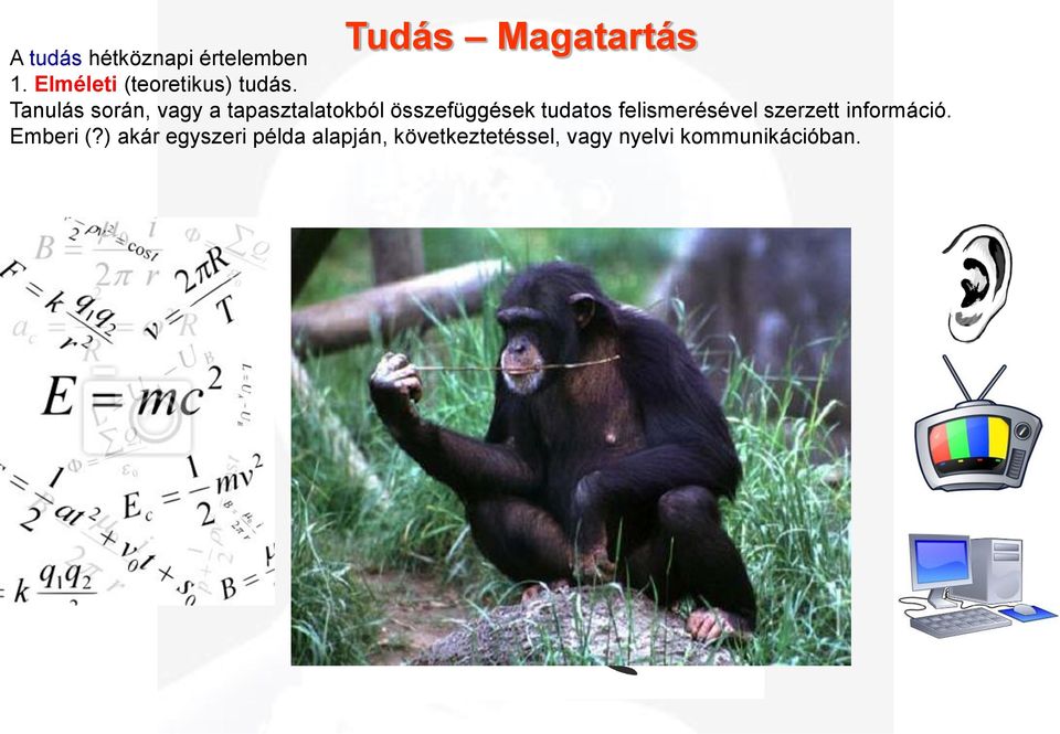 Tanulás során, vagy a tapasztalatokból összefüggések tudatos