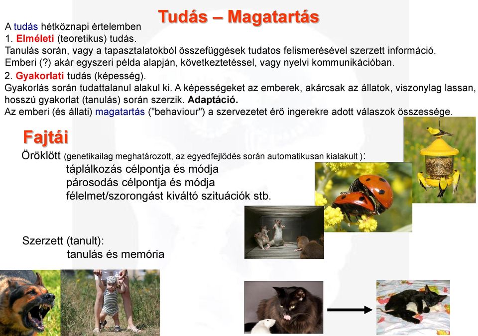 A képességeket az emberek, akárcsak az állatok, viszonylag lassan, hosszú gyakorlat (tanulás) során szerzik. Adaptáció.