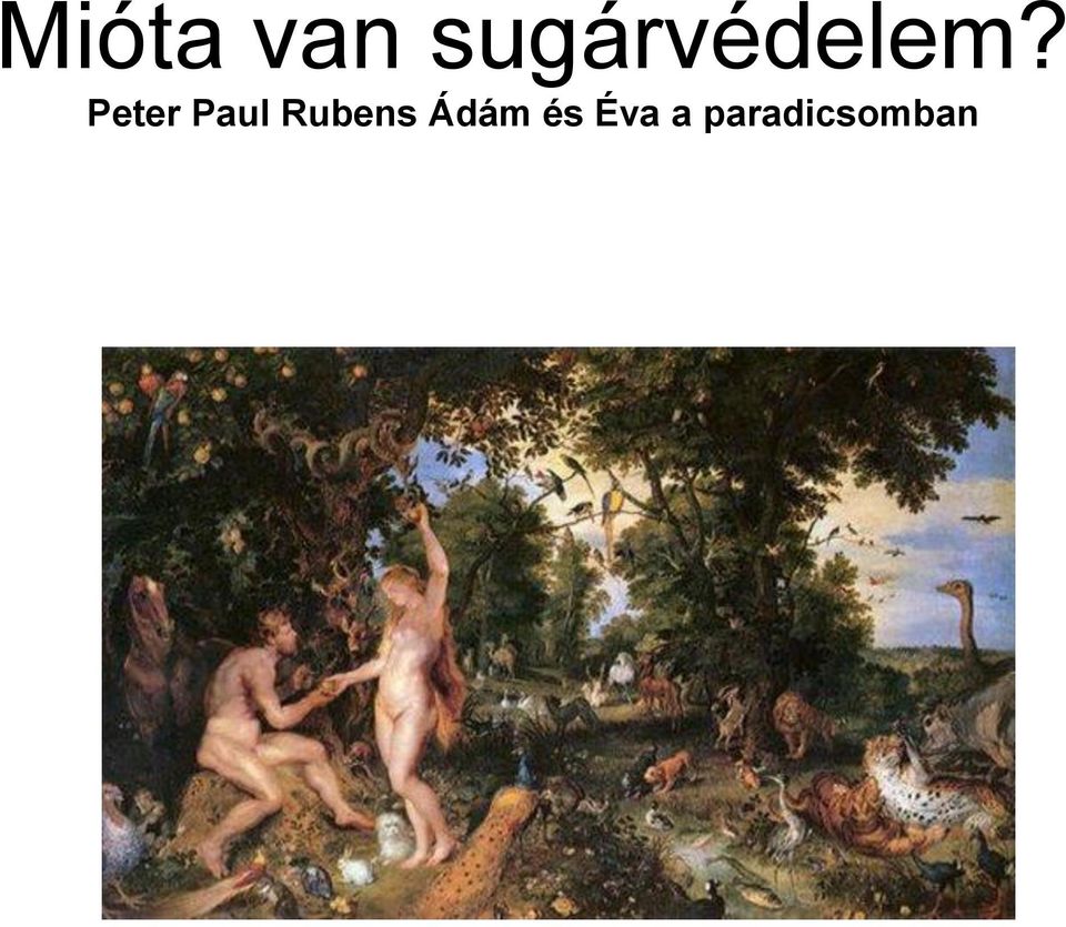 Peter Paul Rubens