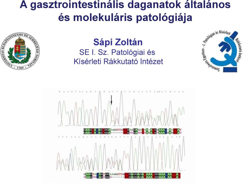 patológiája Sápi Zoltán SE I. Sz.