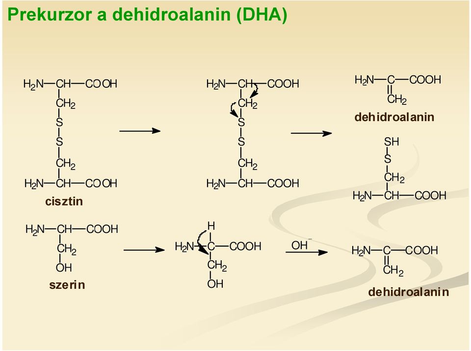 2 N H dehidroalanin SH S H 2 N H H H 2 N H H