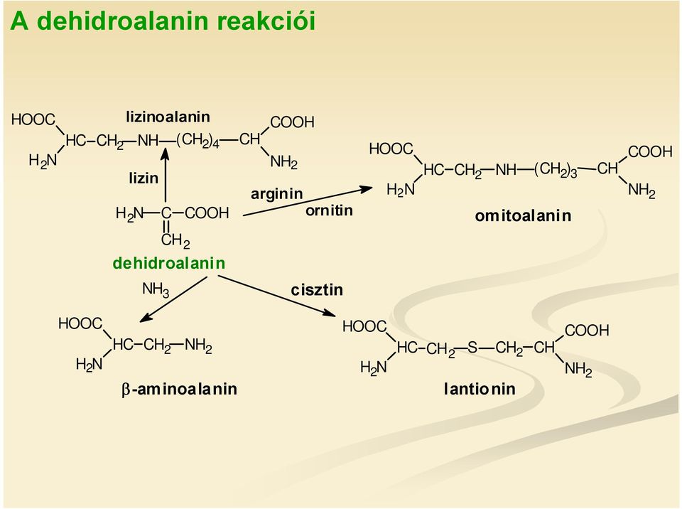 omitoalanin H H NH 2 H 2 dehidroalanin N H 3 cisztin H H