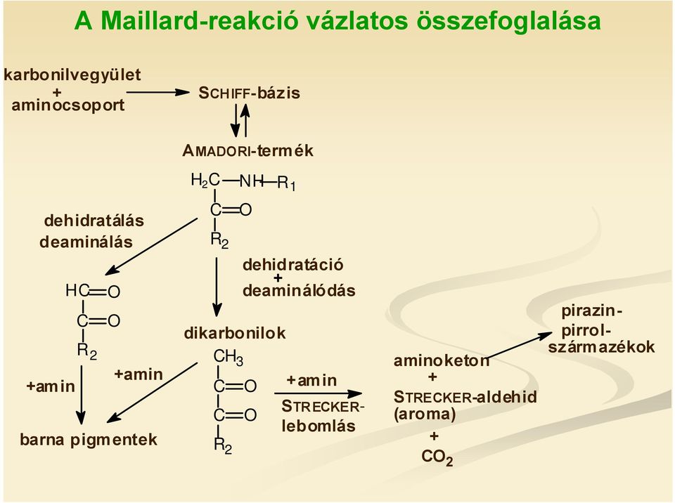 +amin barna pigmentek R 2 dehidratáció + deaminálódás dikarbonilok H 3 +amin