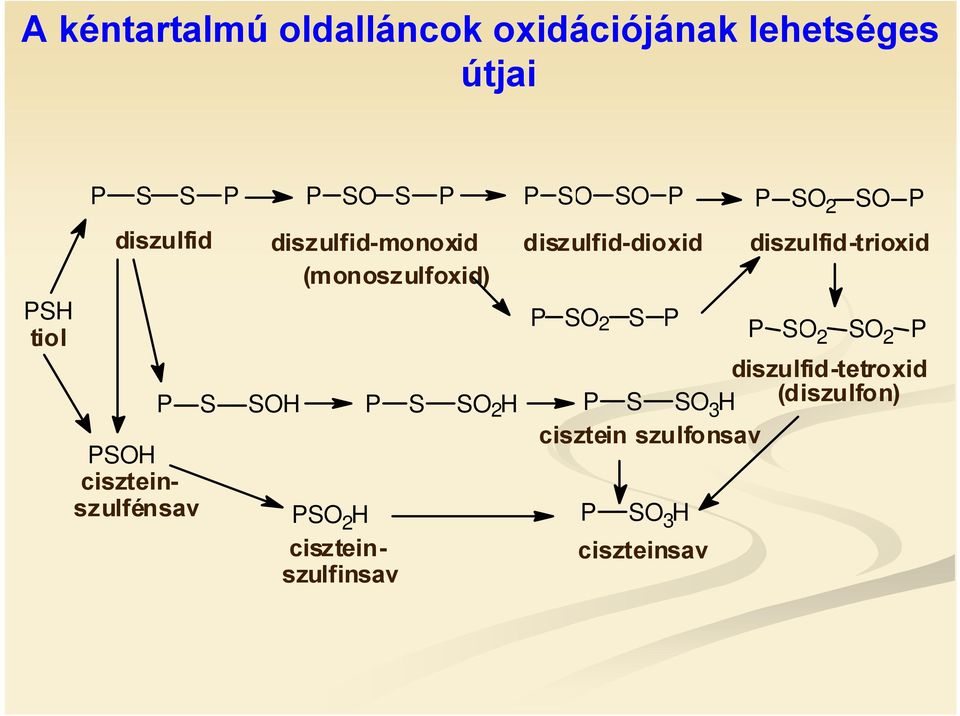 (monoszulfoxid) SH ciszteinszulfénsav S 2 S S 2 S 2 diszulfid-tetroxid S SH S