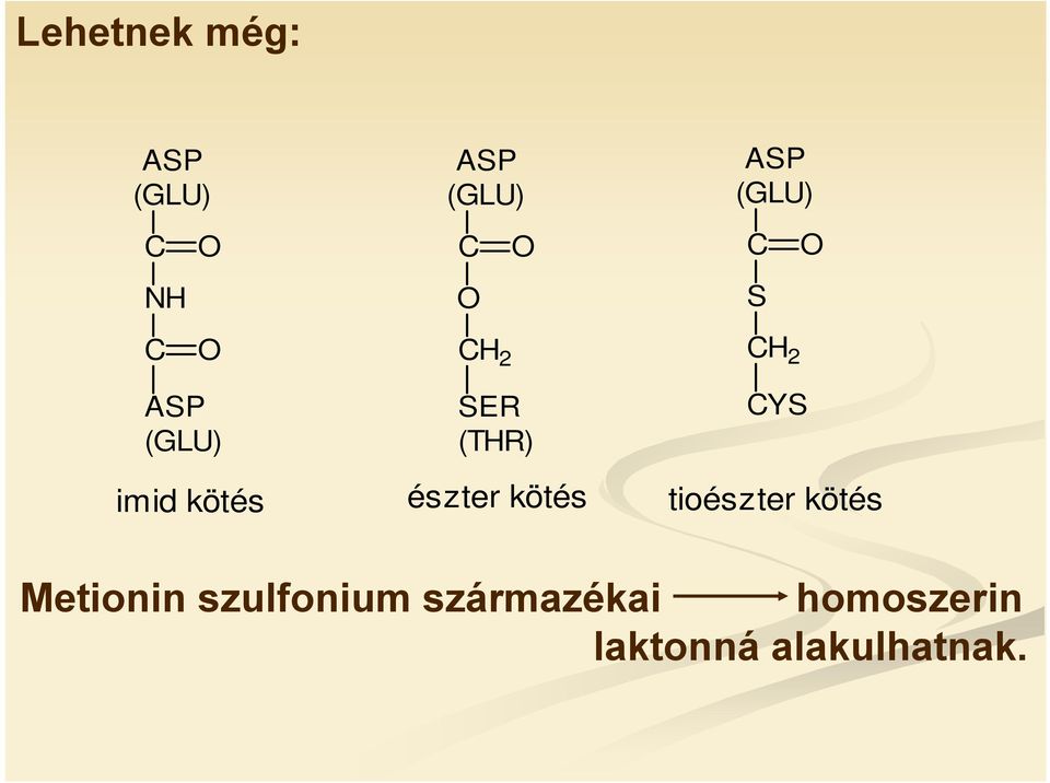 kötés tioészter kötés Metionin szulfonium