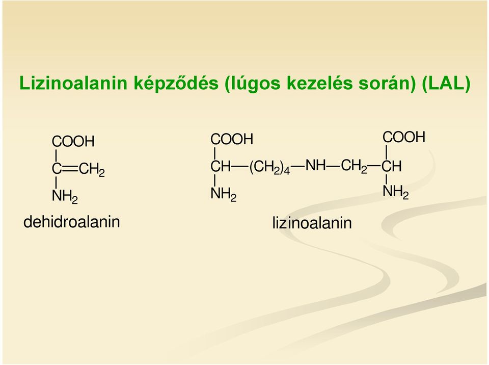 H NH 2 dehidroalanin H H NH
