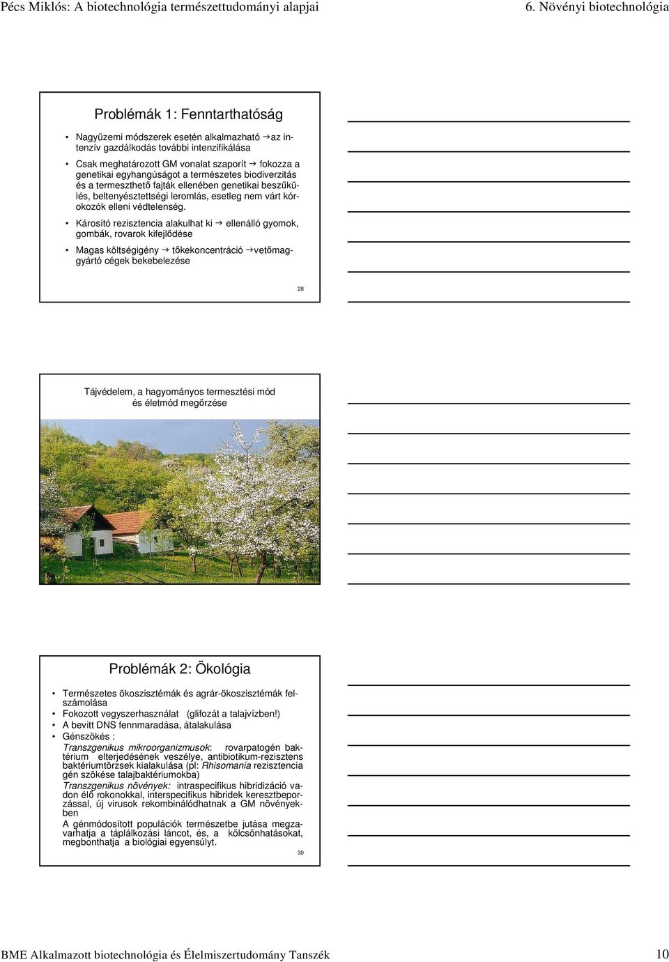 Károsító rezisztencia alakulhat ki ellenálló gyomok, gombák, rovarok kifejlődése Magas költségigény tőkekoncentráció vetőmaggyártó cégek bekebelezése 28 Tájvédelem, a hagyományos termesztési mód és