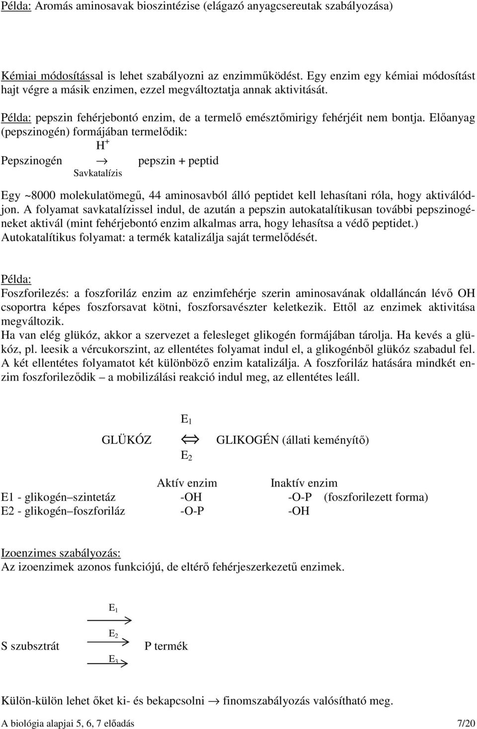 Előanyag (pepszinogén) formájában termelődik: H + Pepszinogén pepszin + peptid Savkatalízis Egy ~8000 molekulatömegű, 44 aminosavból álló peptidet kell lehasítani róla, hogy aktiválódjon.