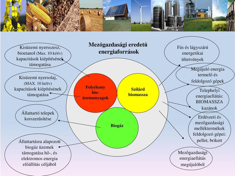 energia elıállítás céljából Mezıgazdasági eredető energiaforrások Folyékony bioüzemanyagok Biogáz Szilárd biomassza Fás és lágyszárú energetikai