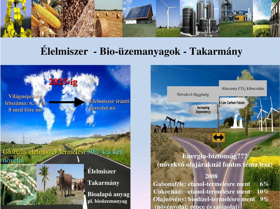 Takarmány Bioalapú anyag pl. bioüzemanyag Energia-biztonság?