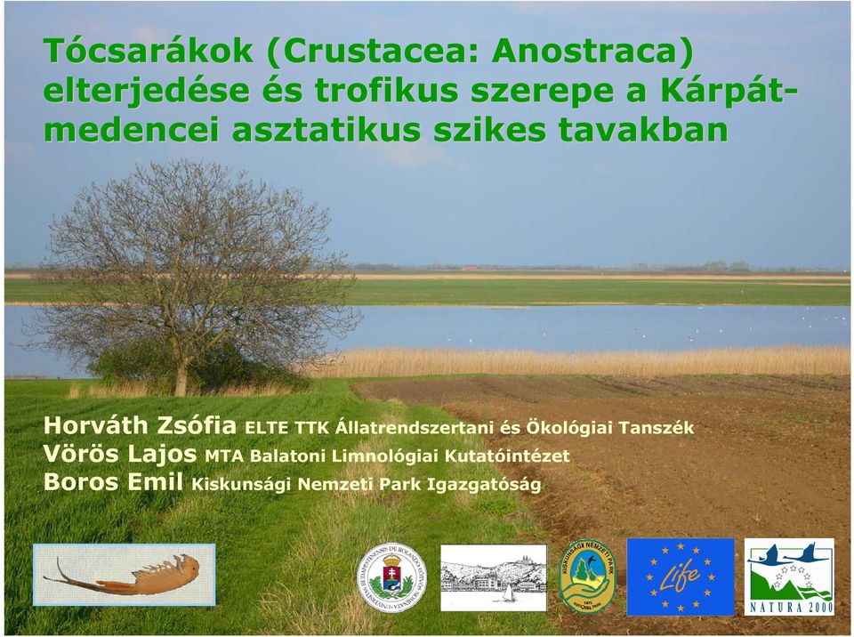 TTK Állatrendszertani és Ökológiai Tanszék Vörös Lajos MTA Balatoni