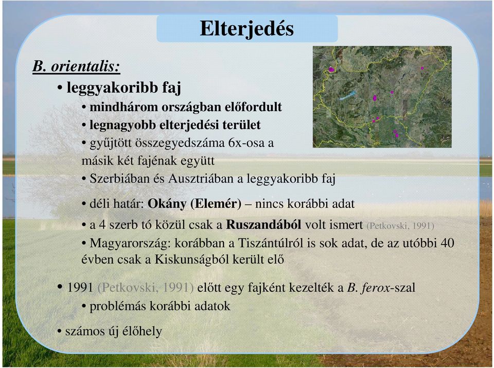 a Ruszandából volt ismert (Petkovski, 1991) Magyarország: korábban a Tiszántúlról is sok adat, de az utóbbi 40 évben csak a