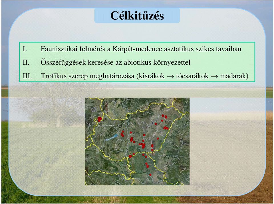 szikes tavaiban II. III.