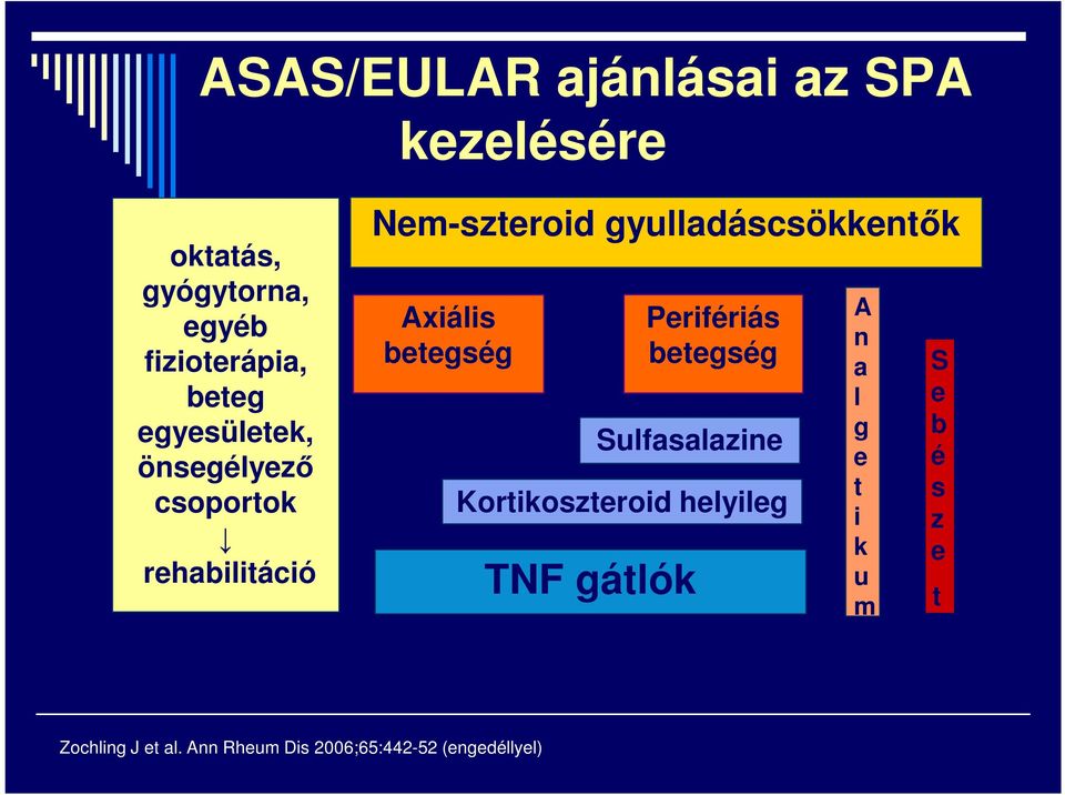 Axiális betegség Perifériás betegség Sulfasalazine Kortikoszteroid helyileg TNF gátlók A