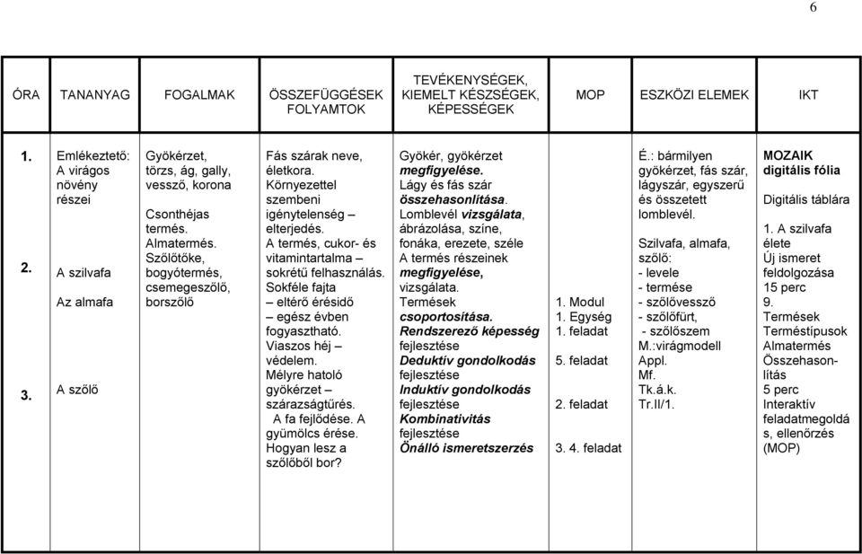 Sokféle fajta eltérő érésidő egész évben fogyasztható. Viaszos héj védelem. Mélyre hatoló gyökérzet szárazságtűrés. A fa fejlődése. A gyümölcs érése. Hogyan lesz a szőlőből bor?