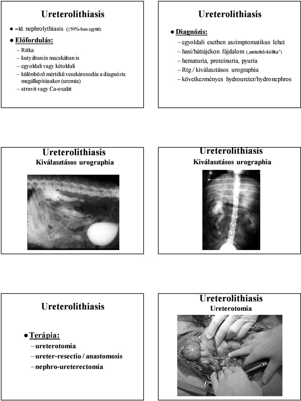 hasi/háttájékon fájdalom ( ureterkő ureterkő-kólika kólika ) hematuria, proteinuria, pyuria Rtg / kiválasztásos urographia