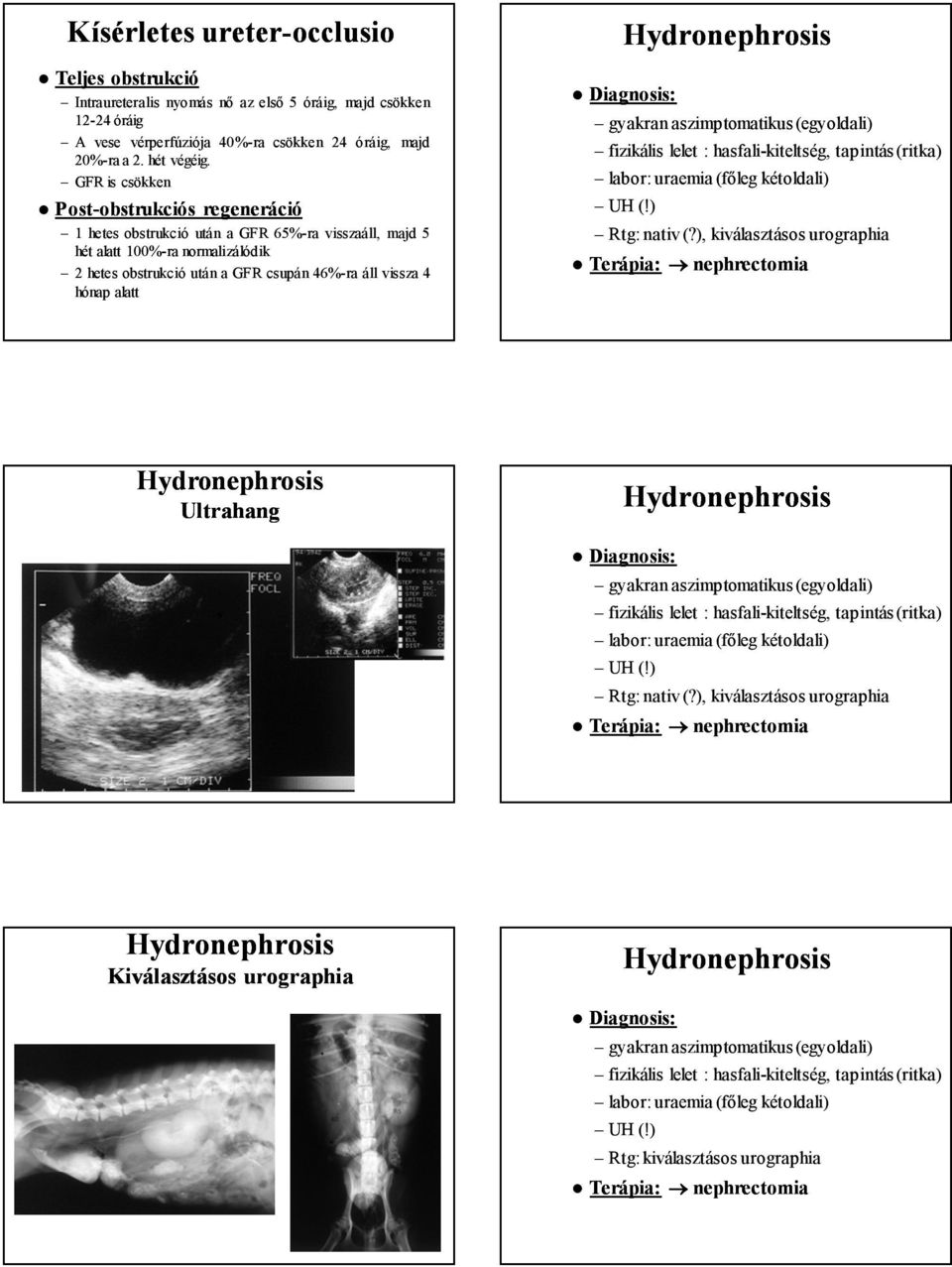 alatt Diagnosis: gyakran aszimptomatikus (egyoldali) fizikális lelet : hasfali-kiteltség, tapintás (ritka) labor: uraemia (főleg kétoldali) UH (!) Rtg: nativ (?