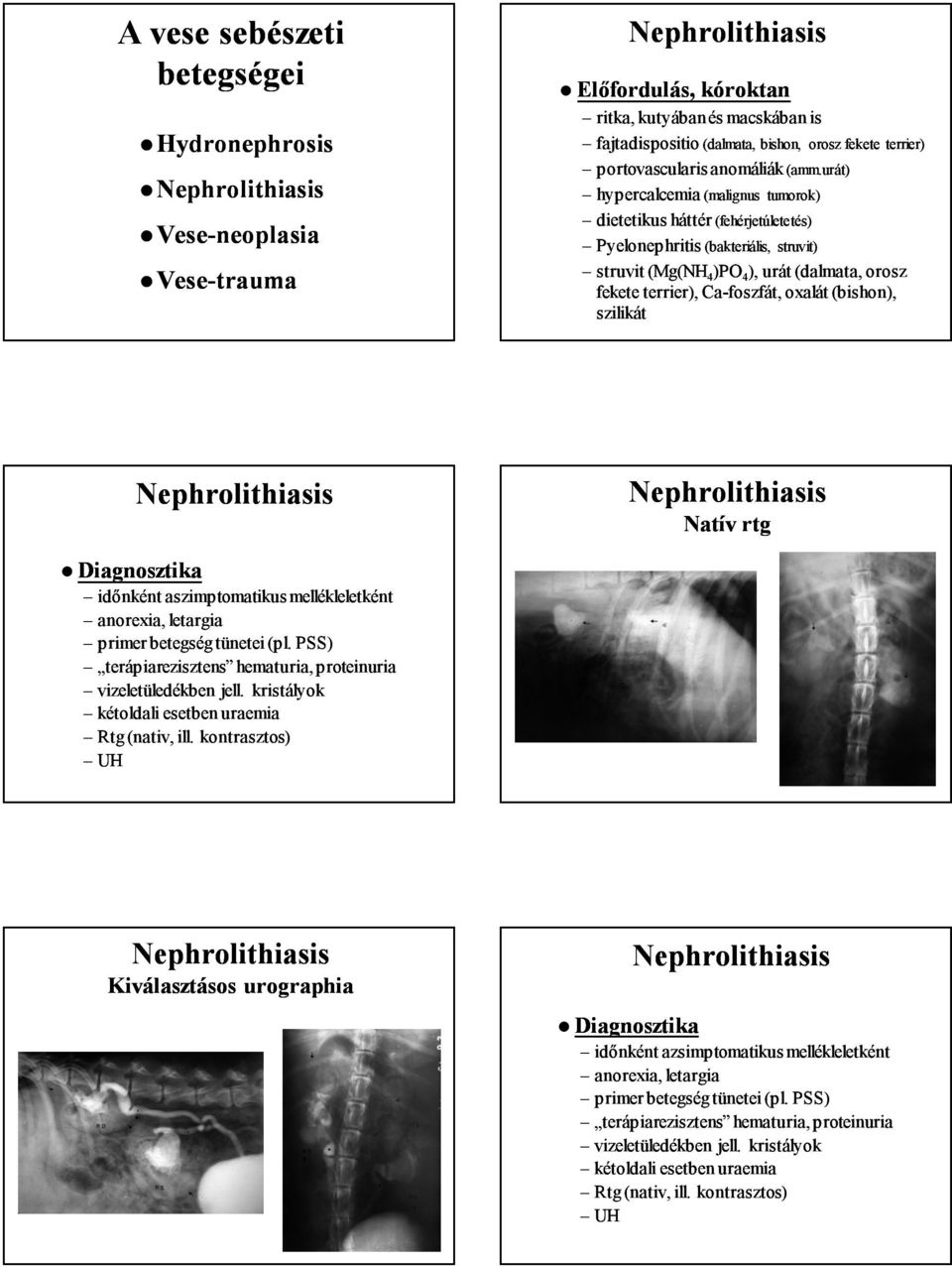 (bishon), szilikát Natív rtg Diagnosztika időnként aszimptomatikus mellékleletként anorexia, letargia primer betegség tünetei (pl.