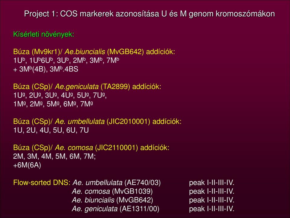 geniculata (TA2899) addíciók: 1U g, 2U g, 3U g, 4U g, 5U g, 7U g, 1M g, 2M g, 5M g, 6M g, 7M g Búza (CSp)/ Ae.