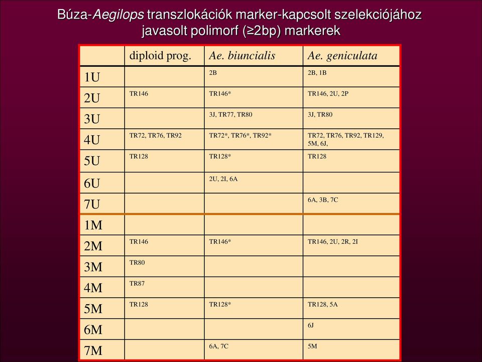 geniculata 2B 2B, 1B TR146 TR146* TR146, 2U, 2P 3J, TR77, TR80 3J, TR80 TR72, TR76, TR92 TR72*, TR76*,