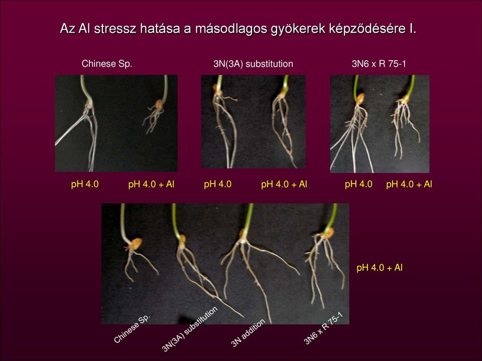 3N(3A) substitution 3N6 x R 75-1 ph 4.