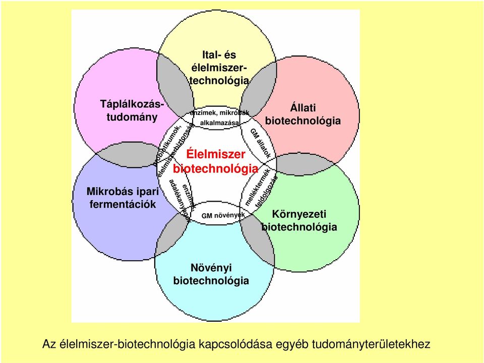 alkalmazása GM növények GM állatok Állati biotechnológia melléktermék feldolgozás Környezeti