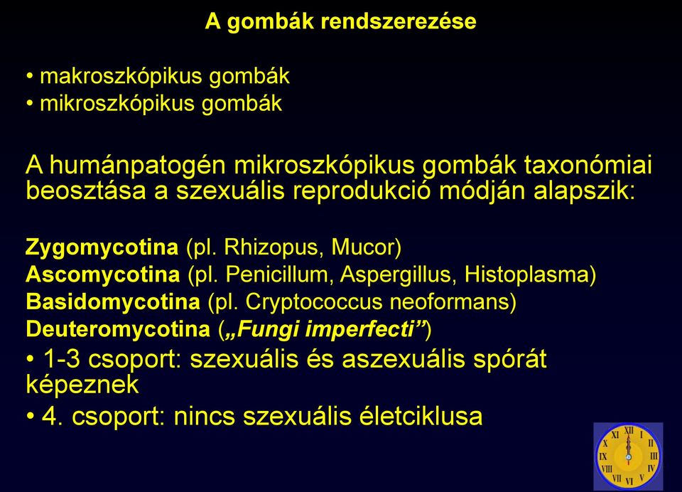Rhizopus, Mucor) Ascomycotina (pl. Penicillum, Aspergillus, Histoplasma) Basidomycotina (pl.