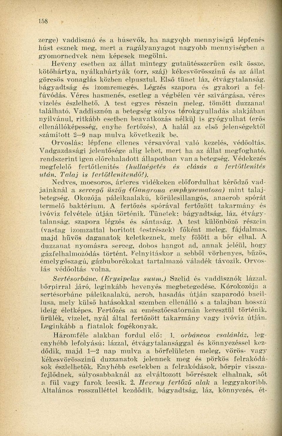 Első tünet láz, étvágytalanság, bágyadtság és izomremegés. Légzés szapora és gyakori a felfúvódás. Véres hasmenés, esetleg a véghélen vér szivárgása, véres vizelés észlelhető.