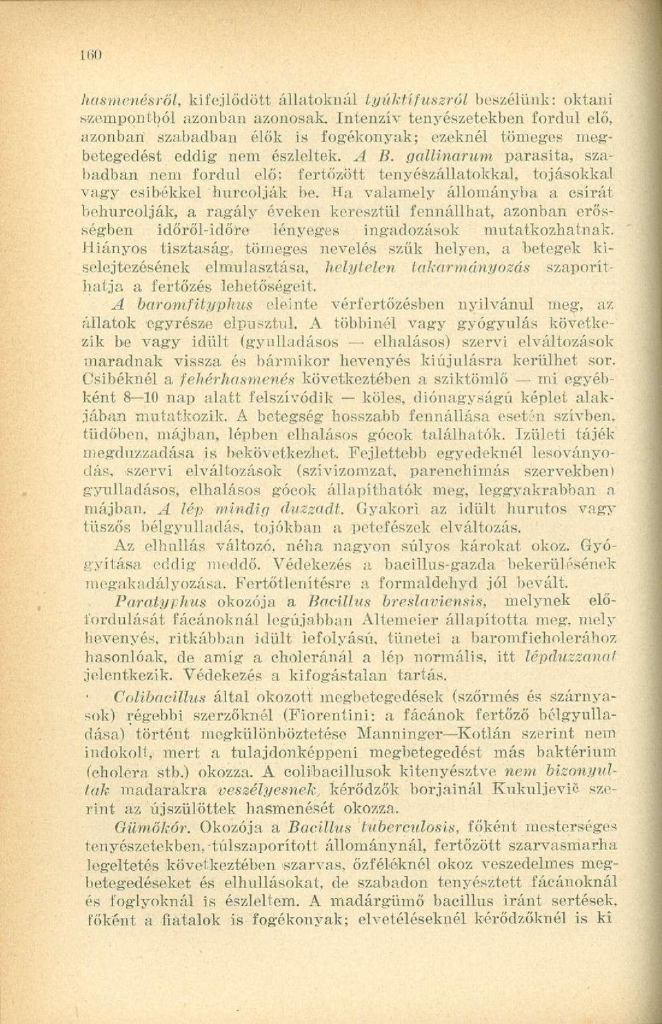 gallinarum parasita, szabadban nem fordul elő; fertőzött tenyészállatokkal, tojásokkal vagy csibékkel hurcolják be.