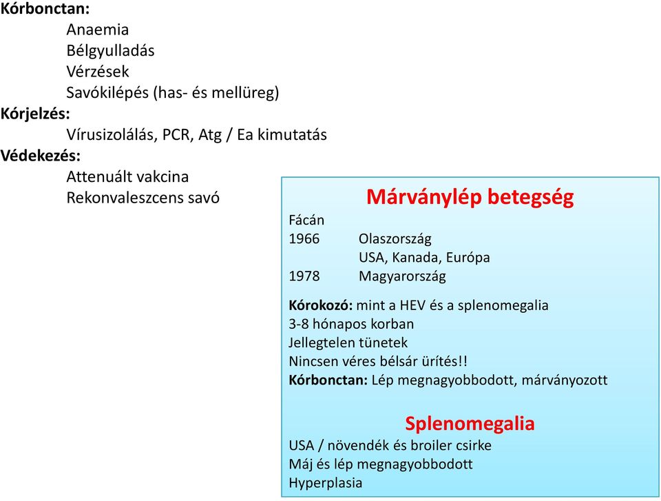 Magyarország Kórokozó: mint a HEV és a splenomegalia 3-8 hónapos korban Jellegtelen tünetek Nincsen véres bélsár ürítés!