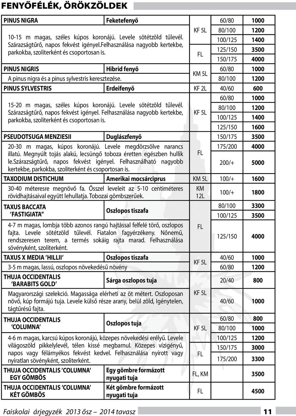 PINUS NIGRIS Hibrid fenyő Faiskolai árjegyzék 2013 ősz 2014 tavasz 11 FL 60/80 1000 80/100 1200 100/125 1400 125/150 3500 150/175 4000 60/80 1000 5L A pinus nigra és a pinus sylvestris keresztezése.