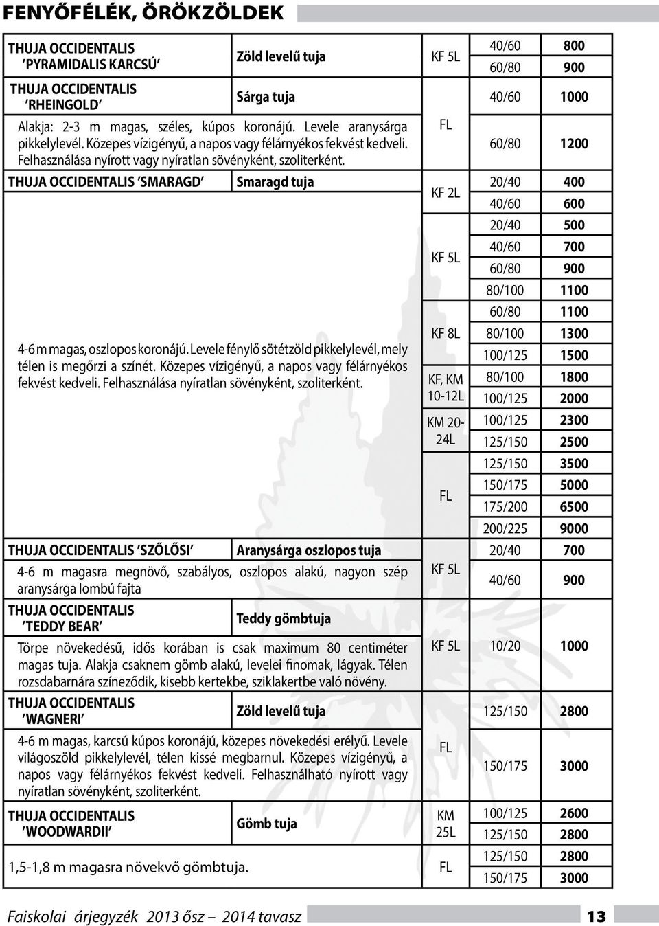 Levele fénylő sötétzöld pikkelylevél, mely télen is megőrzi a színét. Közepes vízigényű, a napos vagy félárnyékos fekvést kedveli. Felhasználása nyíratlan sövényként, szoliterként.