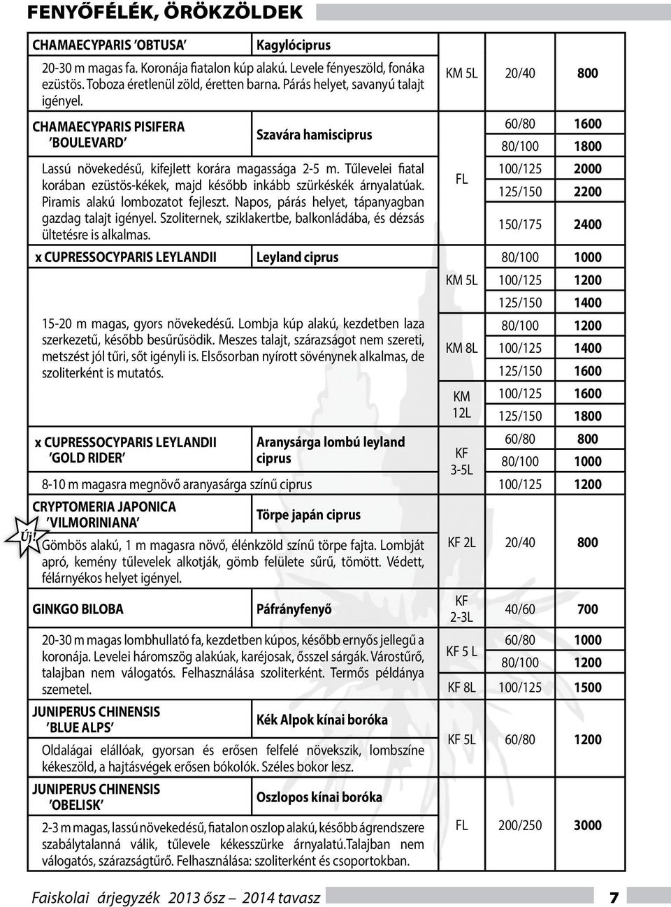 Tűlevelei fiatal korában ezüstös-kékek, majd később inkább szürkéskék árnyalatúak. Piramis alakú lombozatot fejleszt. Napos, párás helyet, tápanyagban gazdag talajt igényel.