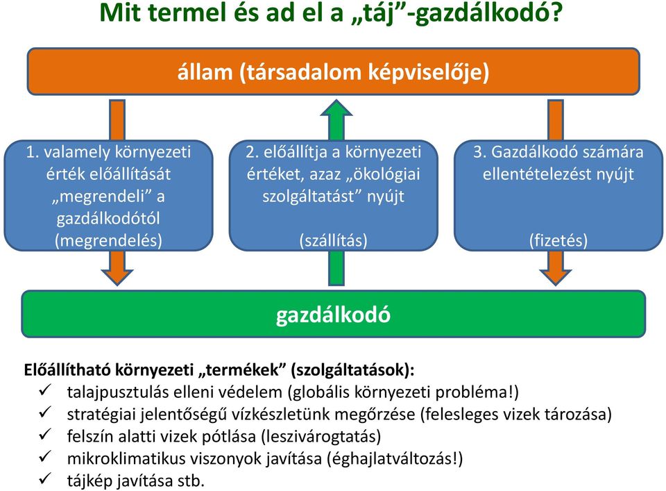 előállítja a környezeti értéket, azaz ökológiai szolgáltatást nyújt (szállítás) 3.