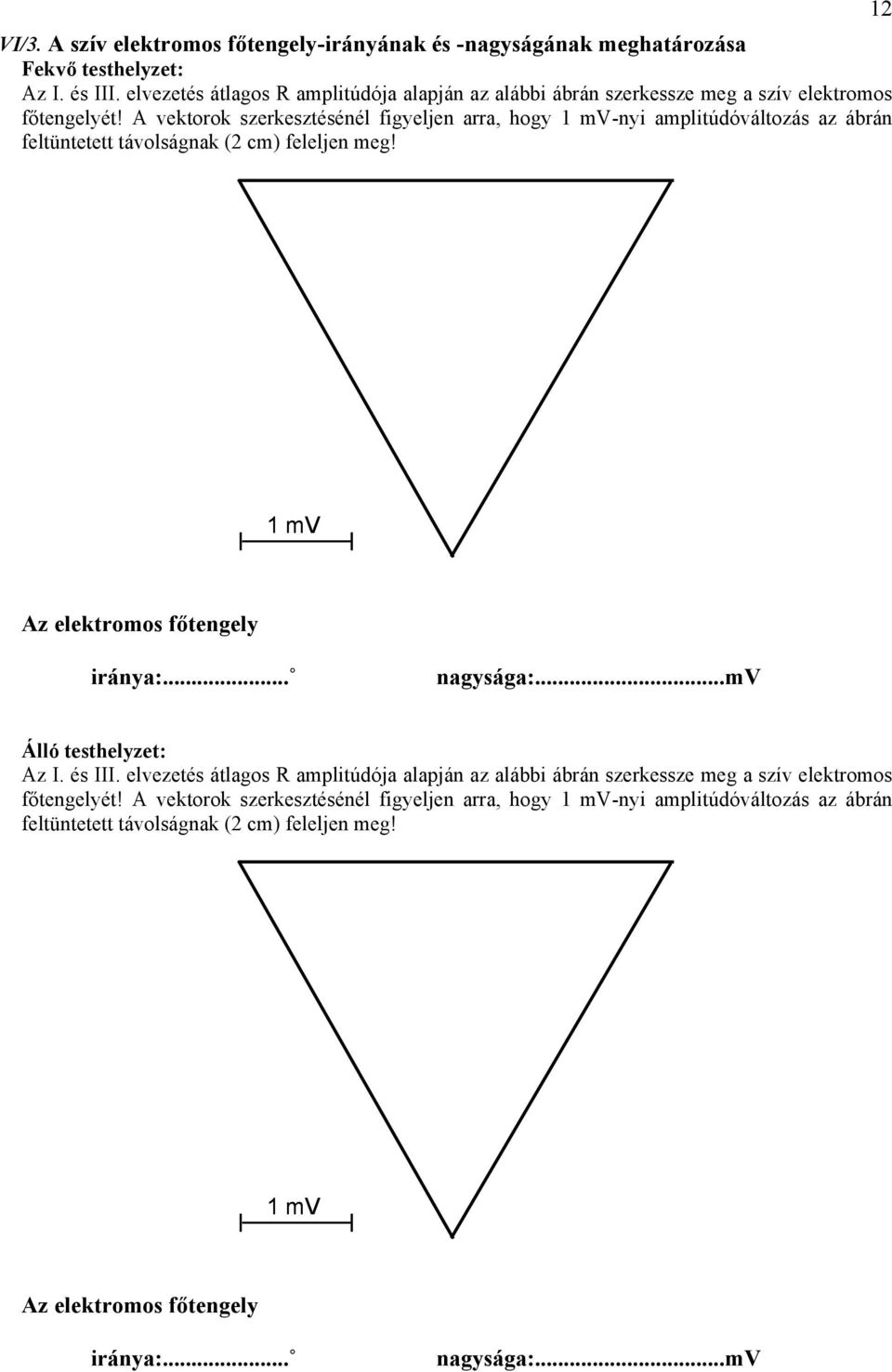 A vektorok szerkesztésénél figyeljen arra, hogy 1 mv-nyi amplitúdóváltozás az ábrán feltüntetett távolságnak (2 cm) feleljen meg! 12 1 mv Az elektromos főtengely iránya:.