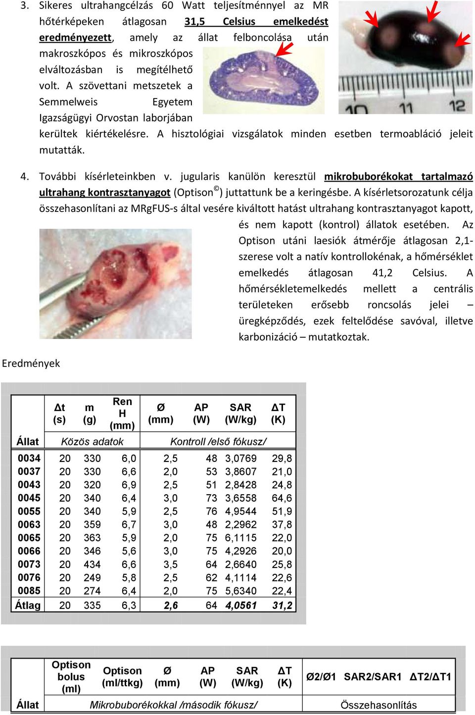 További kísérleteinkben v. jugularis kanülön keresztül mikrobuborékokat tartalmazó ultrahang kontrasztanyagot (Optison ) juttattunk be a keringésbe.