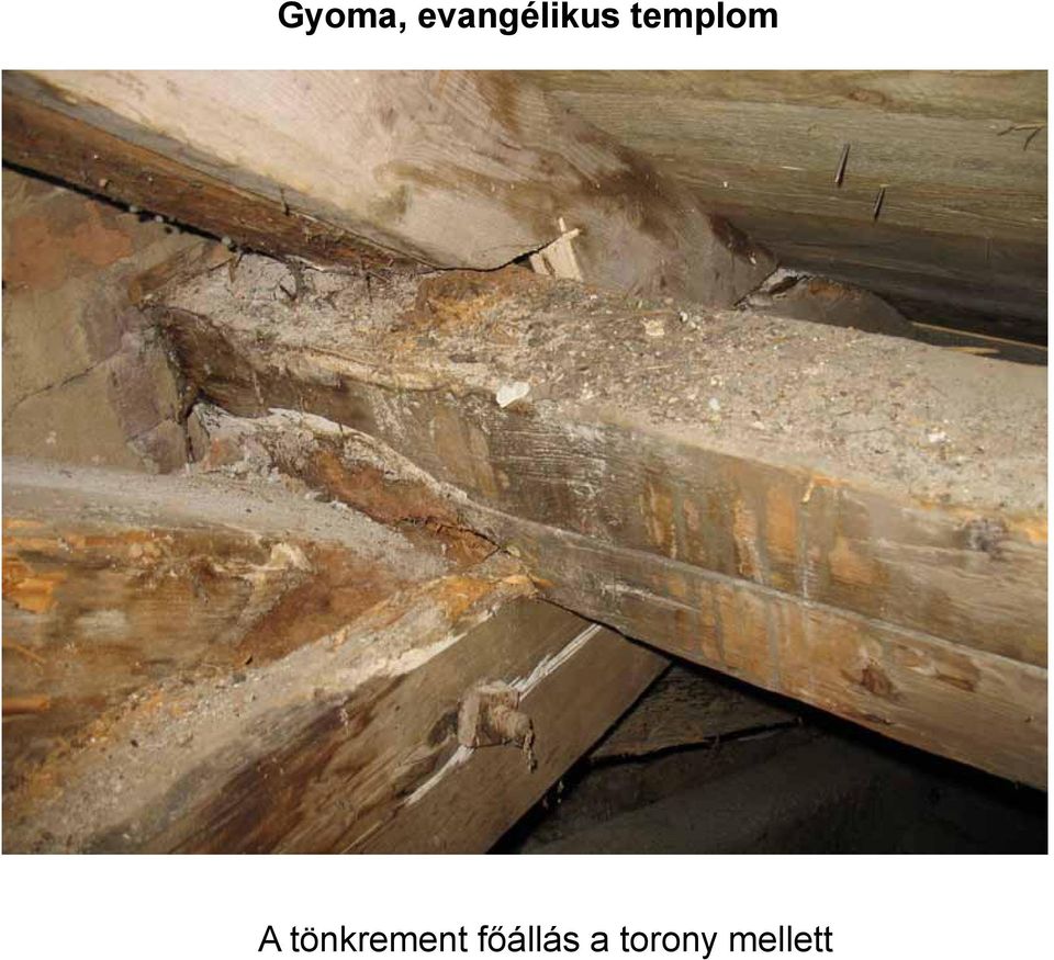 templom A