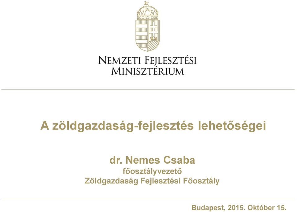 Nemes Csaba főosztályvezető