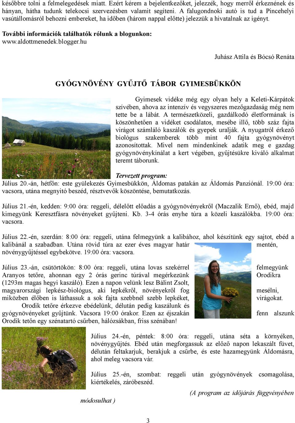 aldottmenedek.blogger.