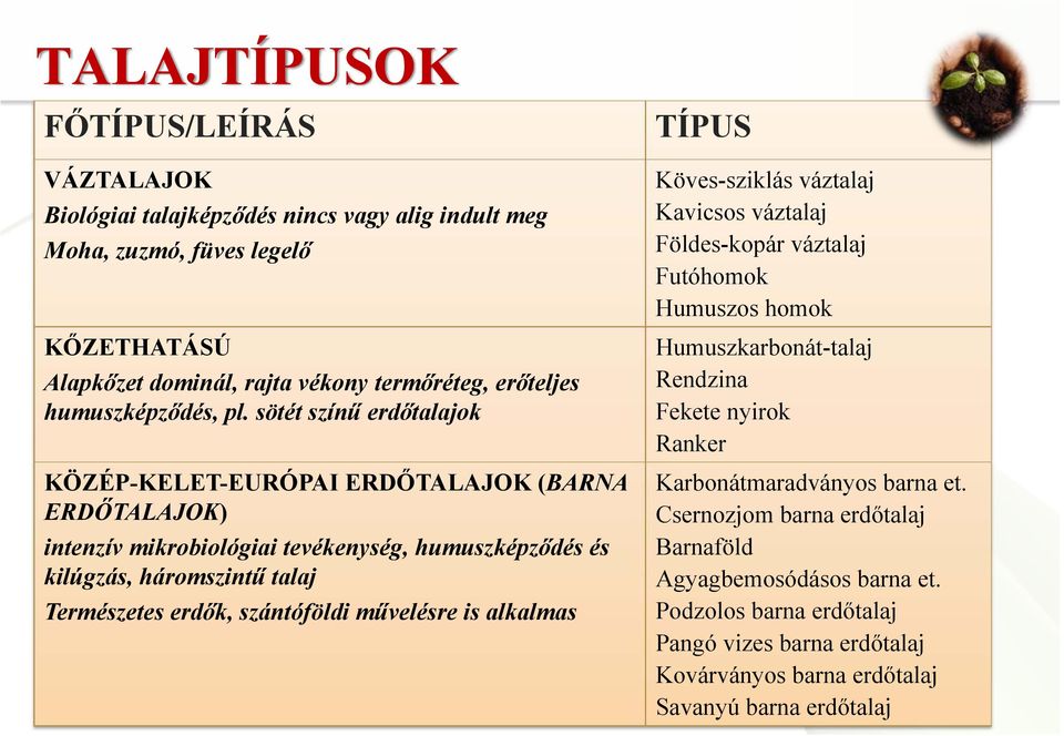 sötét színű erdőtalajok KÖZÉP-KELET-EURÓPAI ERDŐTALAJOK (BARNA ERDŐTALAJOK) intenzív mikrobiológiai tevékenység, humuszképződés és kilúgzás, háromszintű talaj Természetes erdők, szántóföldi