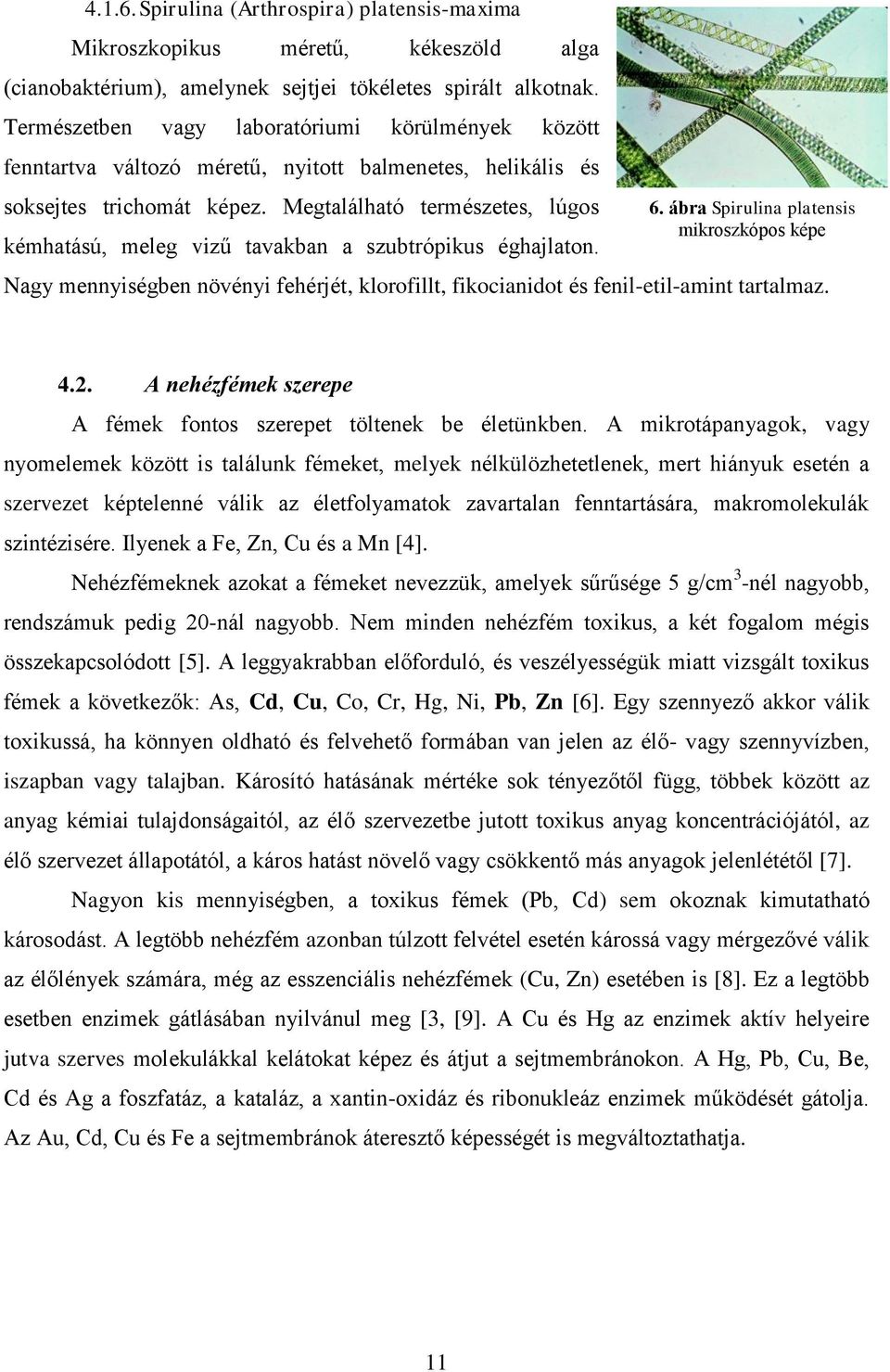 Megtalálható természetes, lúgos kémhatású, meleg vizű tavakban a szubtrópikus éghajlaton. 6.