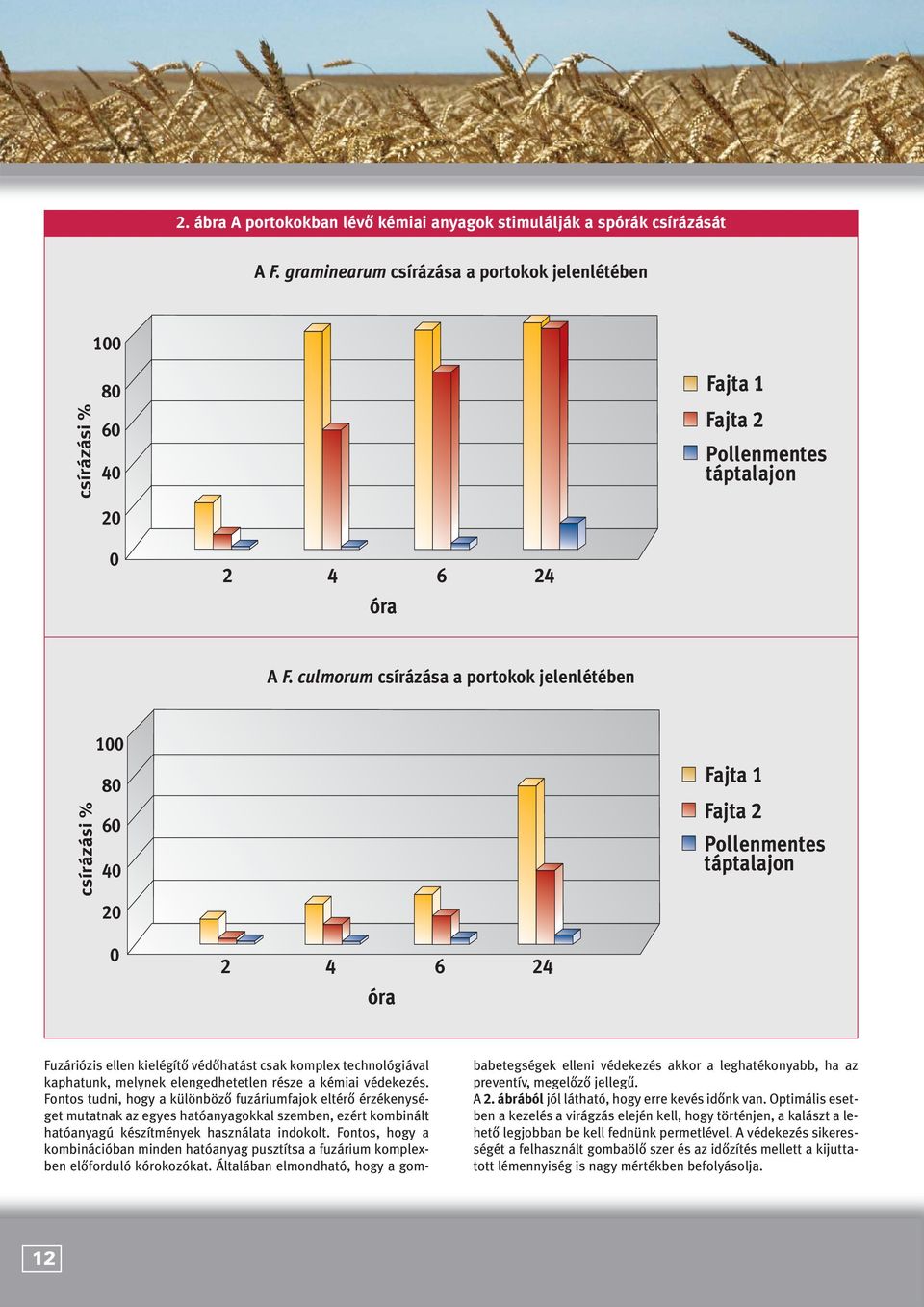 culmorum csírázása a portokok jelenlétében csírázási % 100 80 60 40 20 Fajta 1 Fajta 2 Pollenmentes táptalajon 0 2 4 6 24 óra Fuzáriózis ellen kielégítô védôhatást csak komplex technológiával