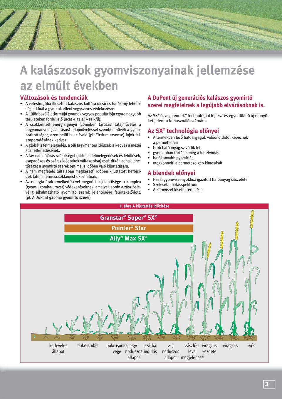 A csökkentett energiaigényû (zömében tárcsás) talajmûvelés a hagyományos (szántásos) talajmûveléssel szemben növeli a gyomborítottságot, ezen belül is az évelô (pl.