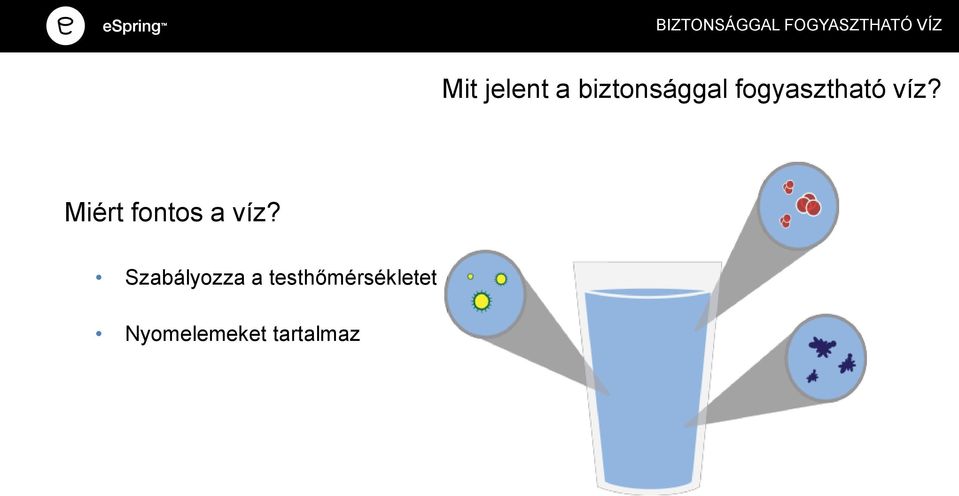 víz? Miért fontos a víz?