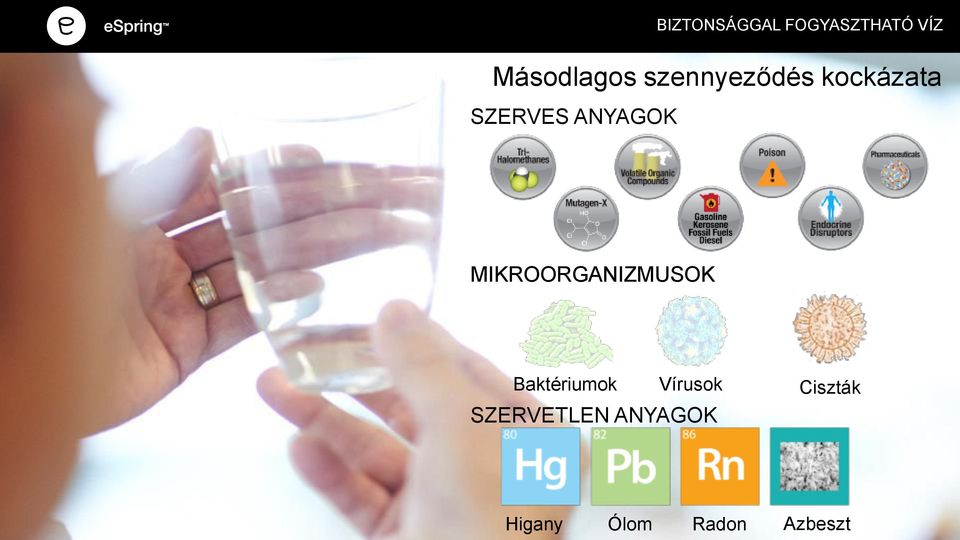 MIKROORGANIZMUSOK Baktériumok Vírusok