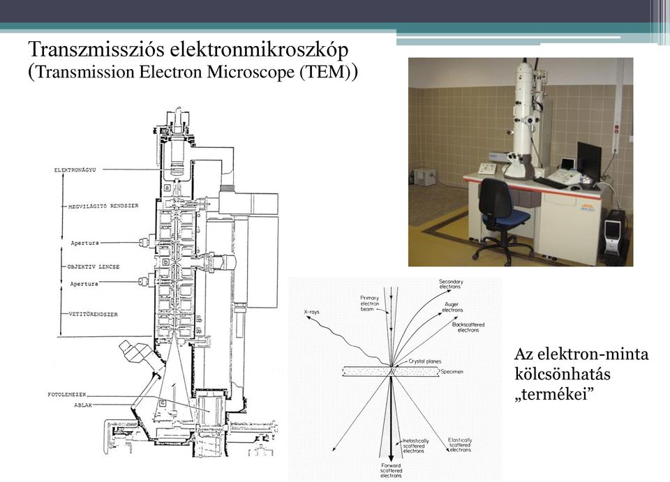 (Transmission Electron