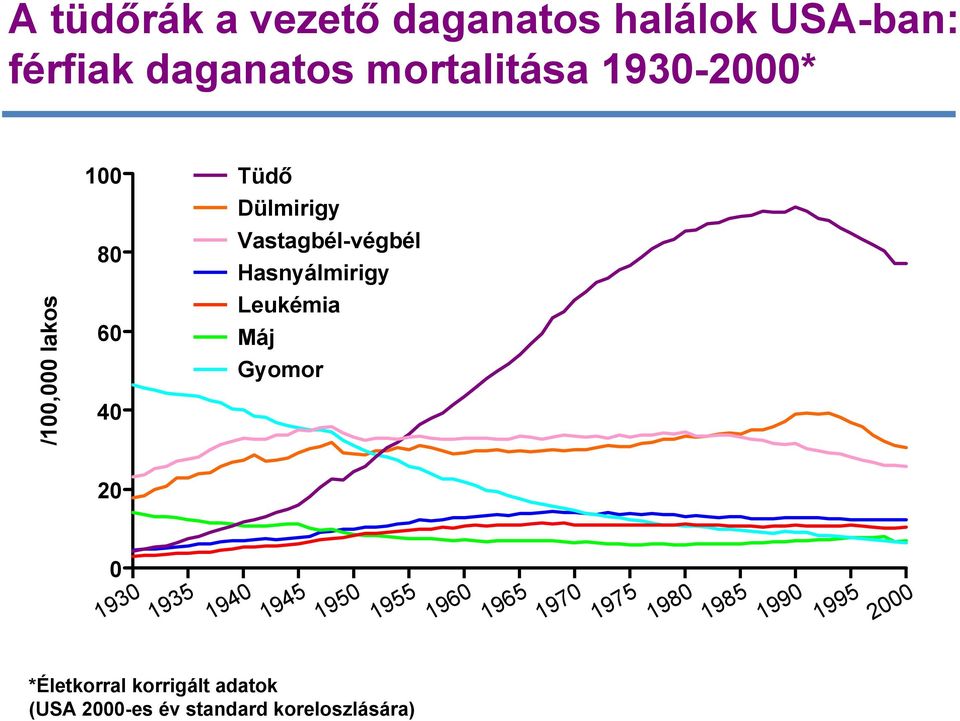 Hasnyálmirigy Leukémia Máj Gyomor *Életkorral korrigált adatok (USA 2000-es év